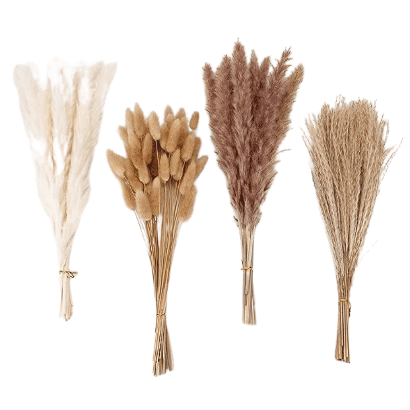 Dried Pampas Grass Decor - Fall Decor Finds