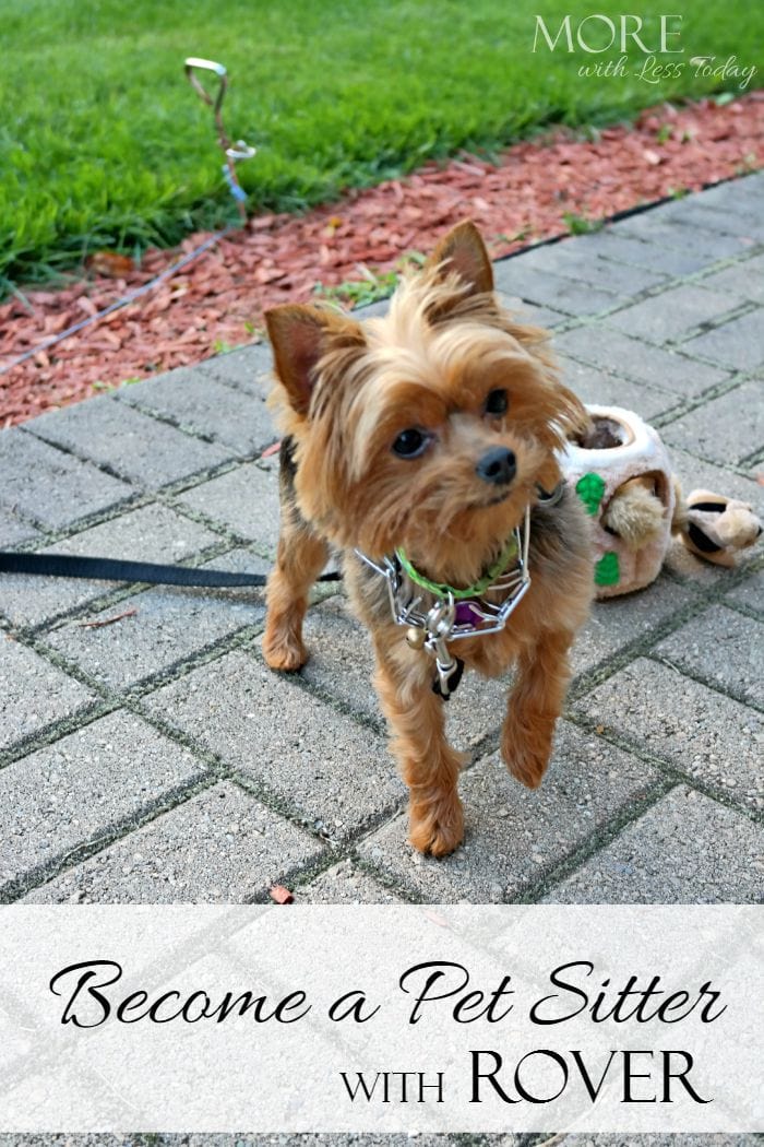 Become A Dog Sitter With Rover More With Less Today become-a-dog-sitter-with-rover-more-with-less-today