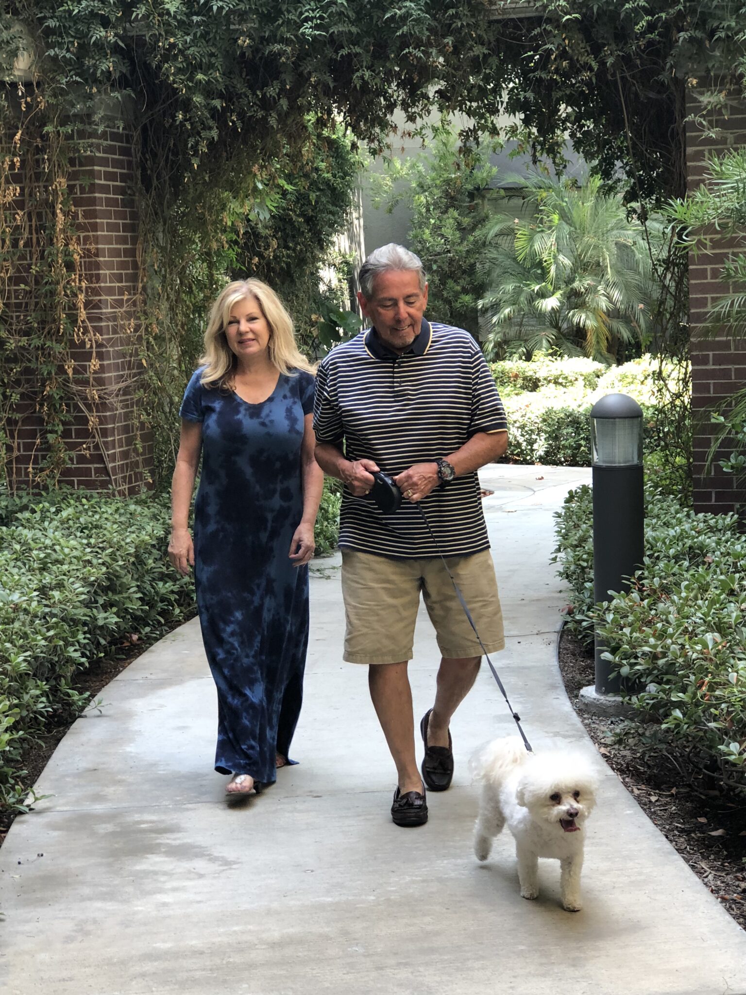 a Dog Sitter with Rover More With Less Today