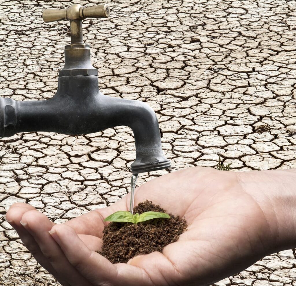 Saving Water In Southern California And A 100 Rebate More With Less saving-water-in-southern-california-and-a-100-rebate-more-with-less