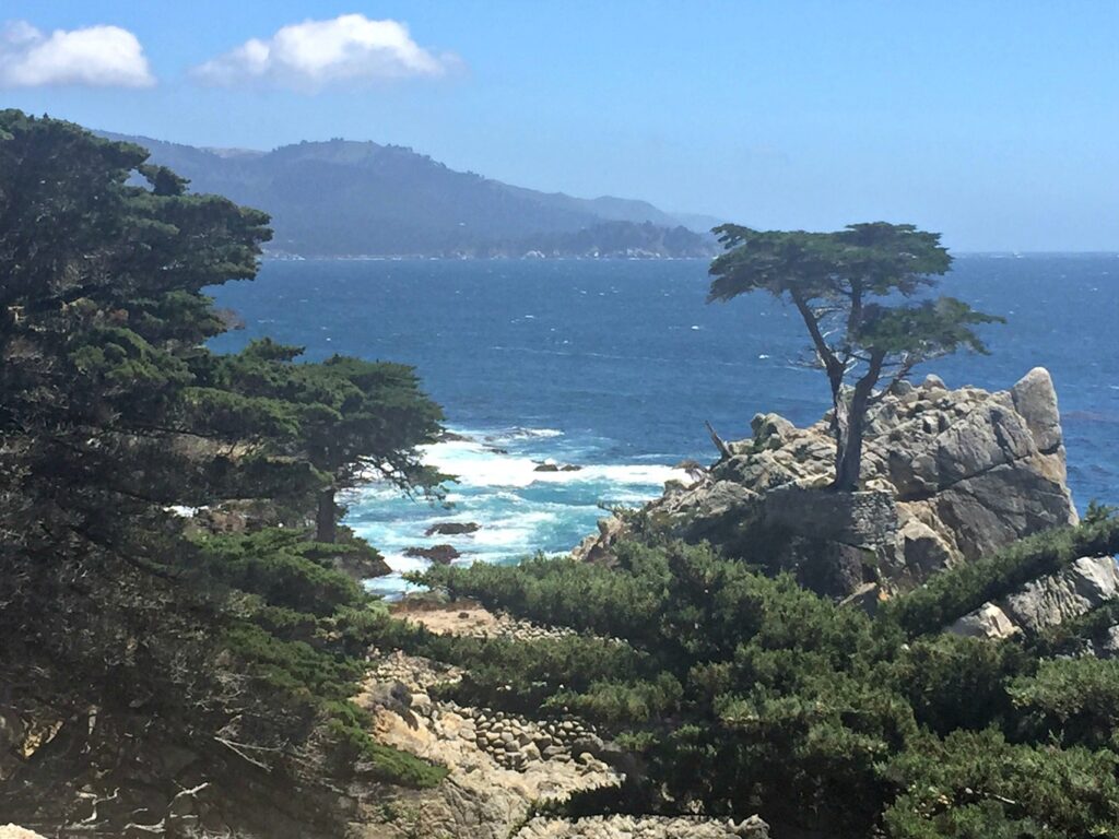 17 mile drive june 2016