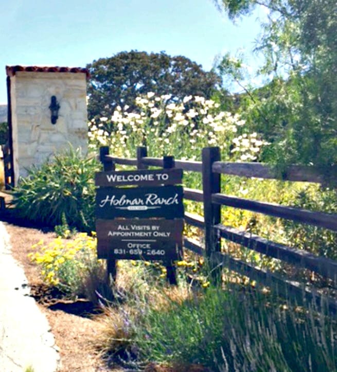 Are you looking for a unique wedding venue in Northern California? Holman Ranch is western elegance and sophistication in a unique setting.