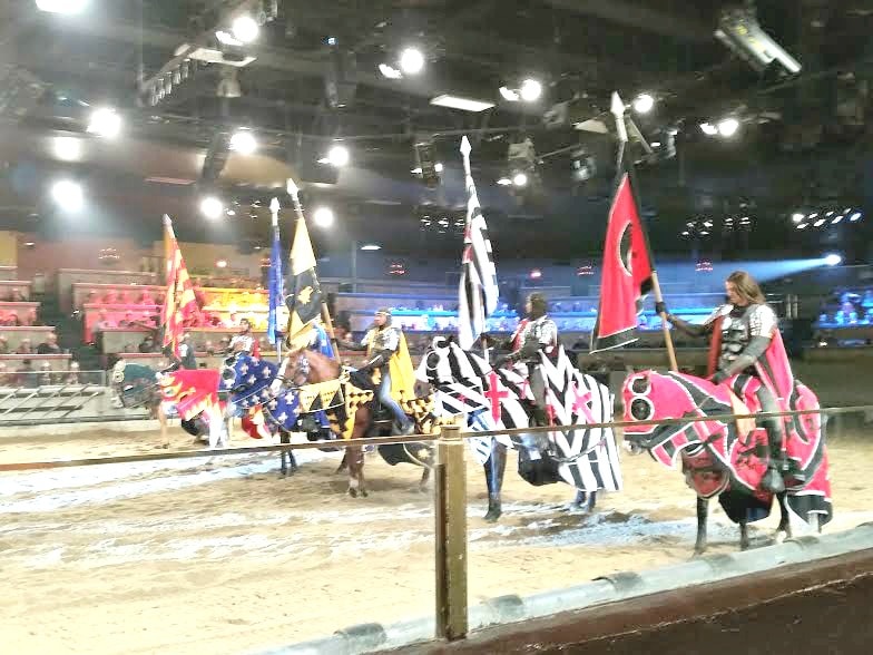 If you are looking for a very memorable family entertainment event, consider taking them to see a spectacular show at Medieval Times in Buena Park. 