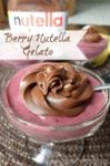 Homemade Gelato &#8211; Berry Nutella Gelato