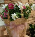 Make a Repurposed Purse Planter from an Old Straw Purse