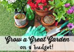 Grow a Great Garden on a Budget With the Easiest Plants to Grow