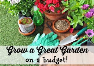 Grow a great garden on a budget with the easiest plants to grow! Now is a great time to start your garden. Save money and eat better!