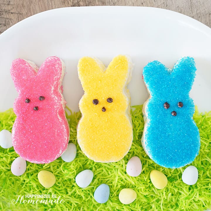 Easy Easter Cake Decorations- Easy Ideas for Cute Easter Cakes