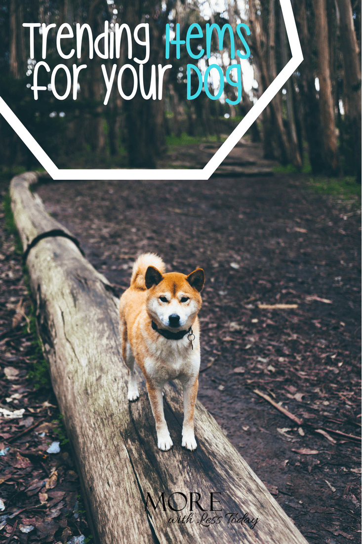 30 Trending Dog Products Your Dog Wants You To Buy