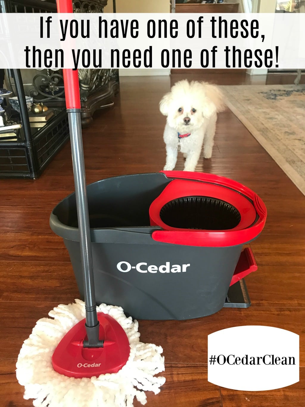 How to Easily Clean Your Hardwood Floors Dog Owners Need This!