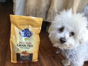 Nature&#8217;s Recipe Now at Walmart &#8211; Great News for Pet Parents