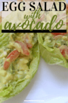 Egg Salad Made with Avocado