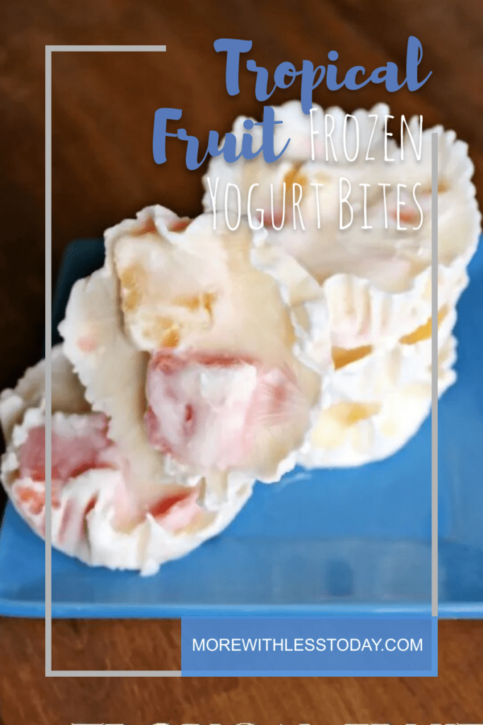 Tropical Fruit Frozen Yogurt Bites &#8211; an Easy Healthier Snack Recipe