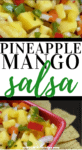 pineapple mango salsa PIN