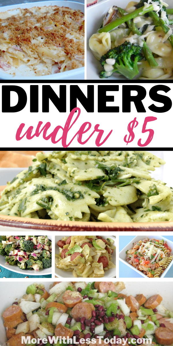 Make These Dinners for Under $5 - Tasty, Cheap and Easy Meals!