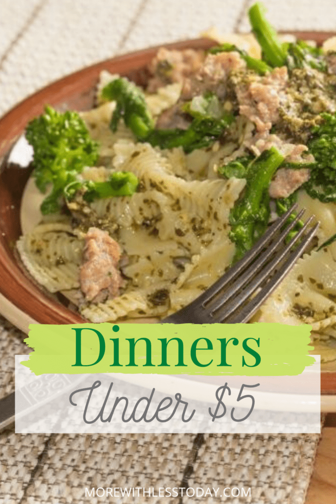 Make These Dinners for Under $5 Per Person &#8211; Tasty, Cheap and Easy Meals!
