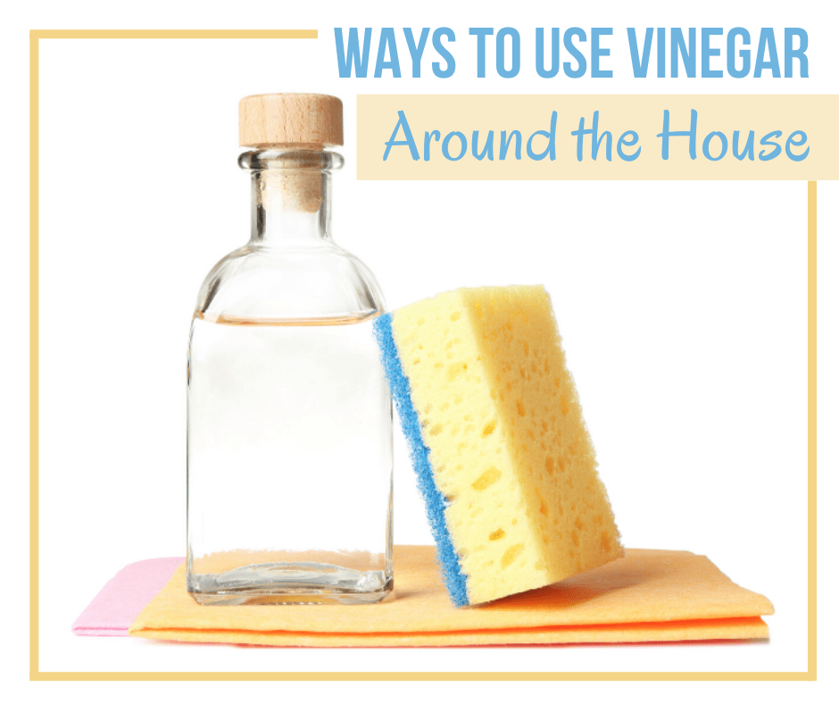 Genius & Cheap Ways To Use Vinegar Around the House