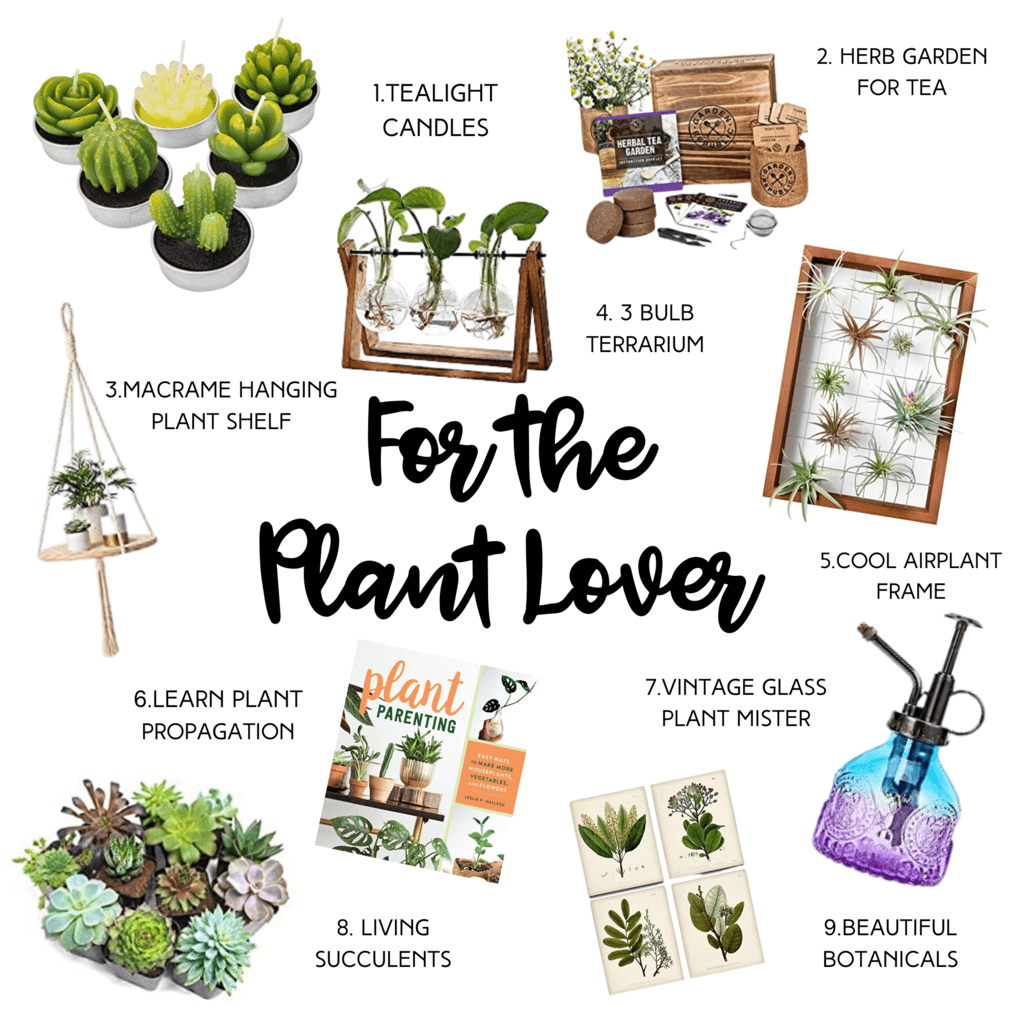 Gifts for Plant Lovers - Gift Guide for Green Thumbs