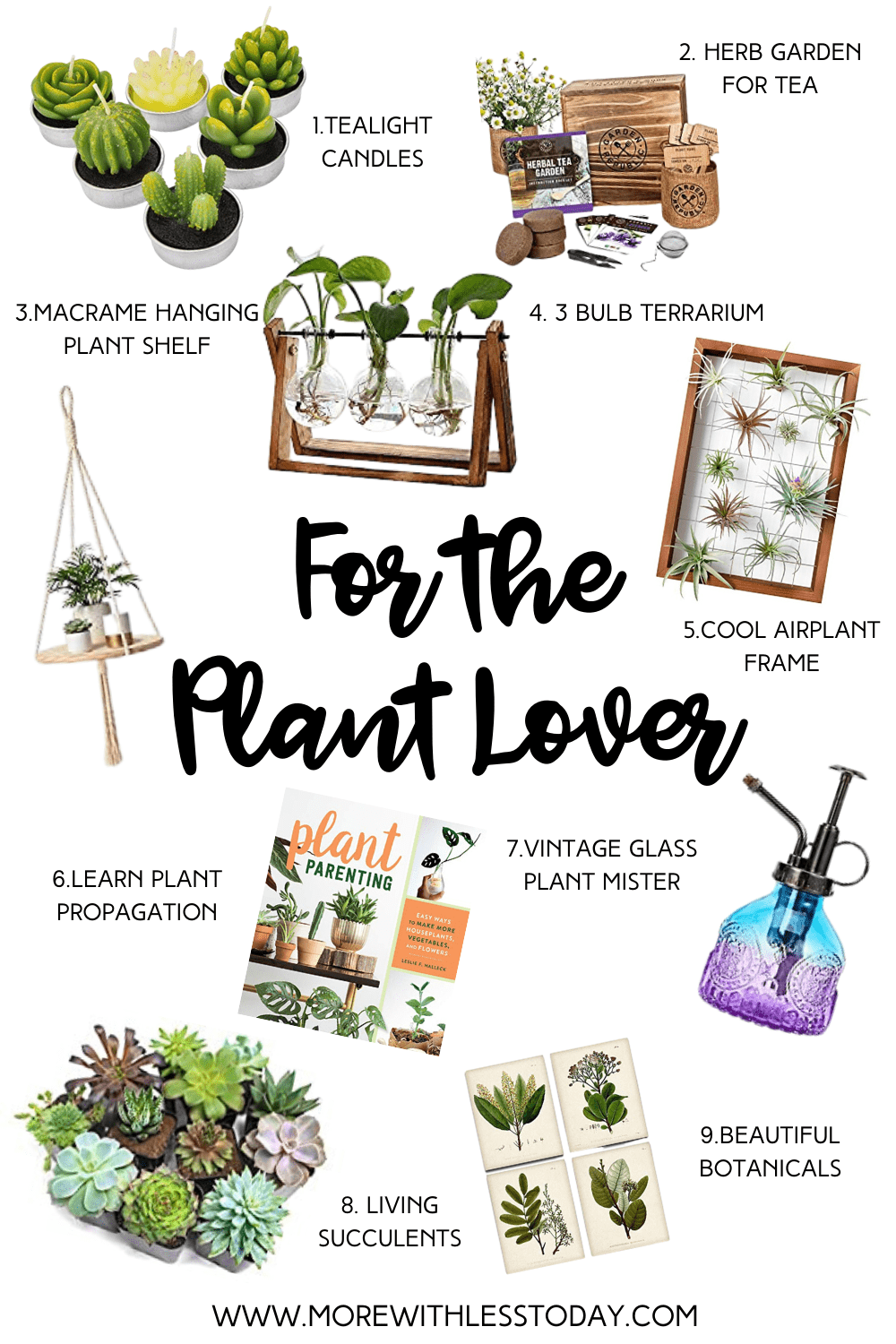 Gifts for Plant Lovers Gift Guide for Green Thumbs
