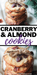 Cranberry Almond Cookies Recipe