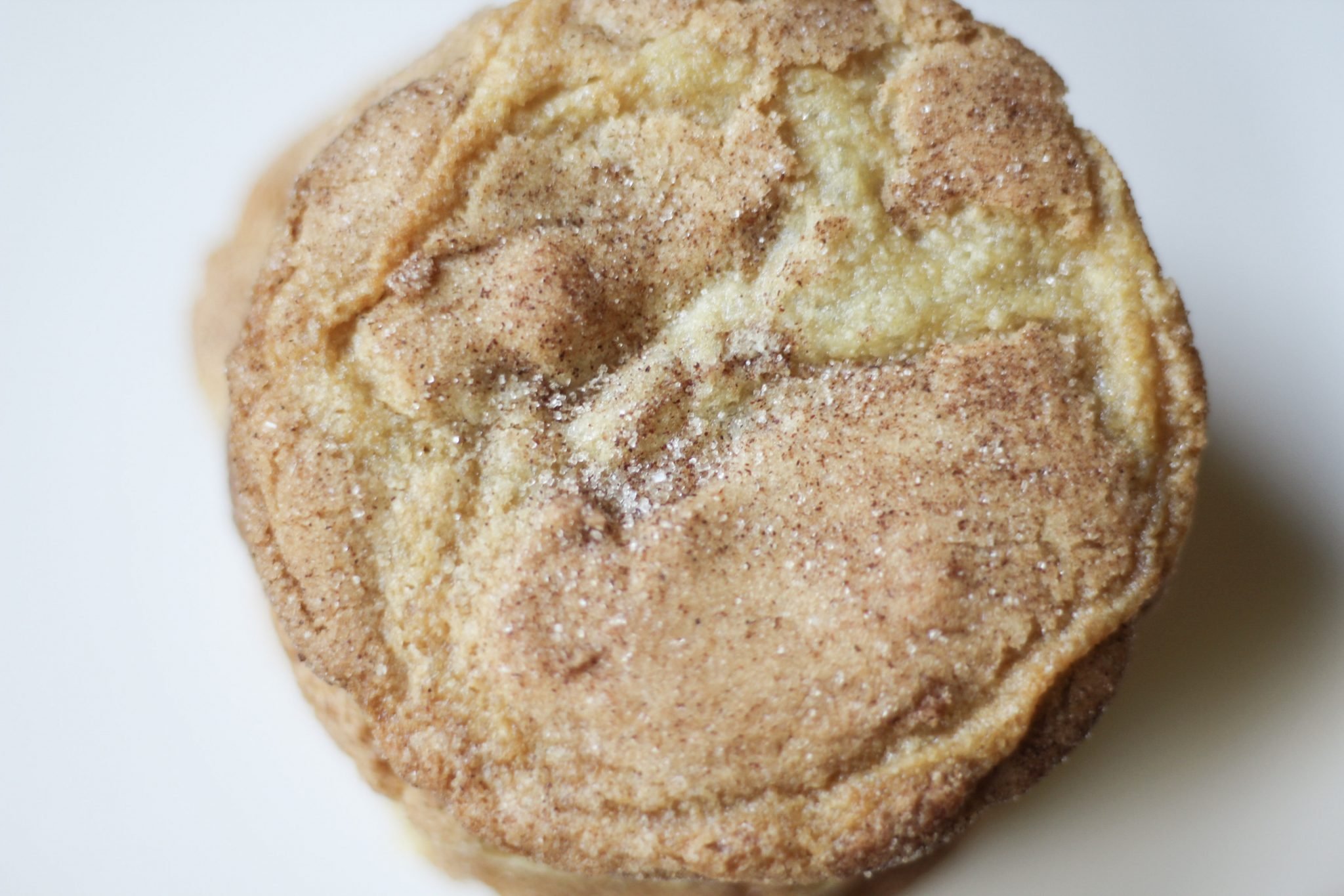 Snickerdoodle cookie recipe close up of cookie