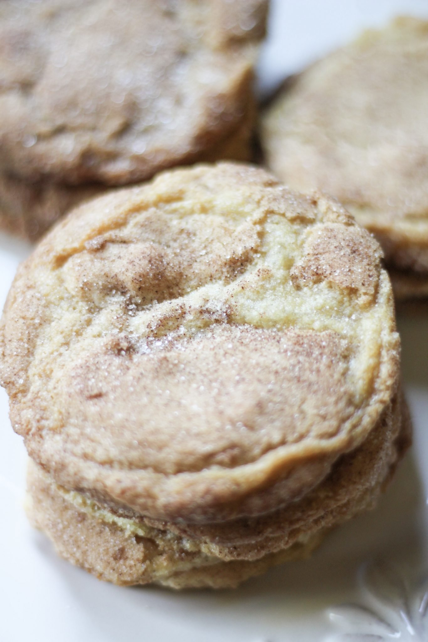  Snickerdoodle Cookies coated with sugar and cinnamon