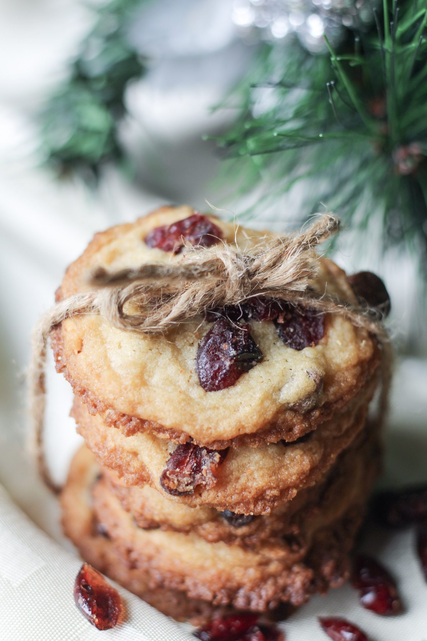 Cranberry and almond cookies tied up with a string