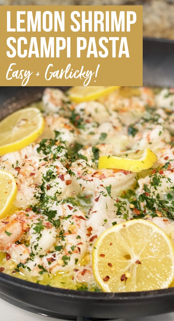 Lemon Shrimp Scampi with Pasta Recipe - More With Less Today