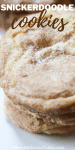 Best Snickerdoodle Cookie Recipe