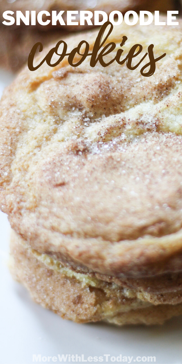 Snickerdoodle Cookie recipe photo