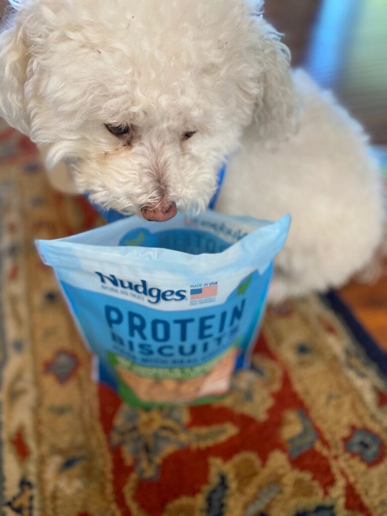Nudges Protein Biscuits with Buddy The Rescue Dog