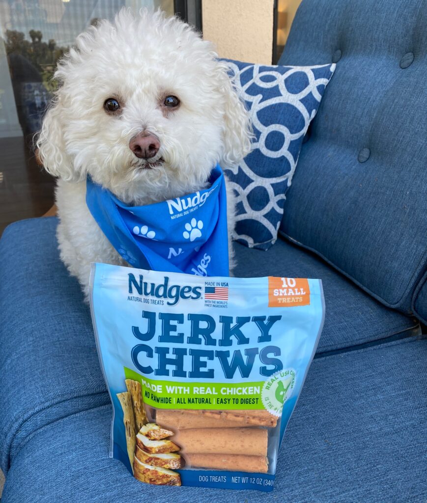 Nudges Jerkly Chews at Walmart with Buddy Felix