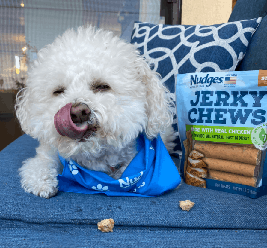 Nudges Jerky Chews with Buddy The Rescue Dog