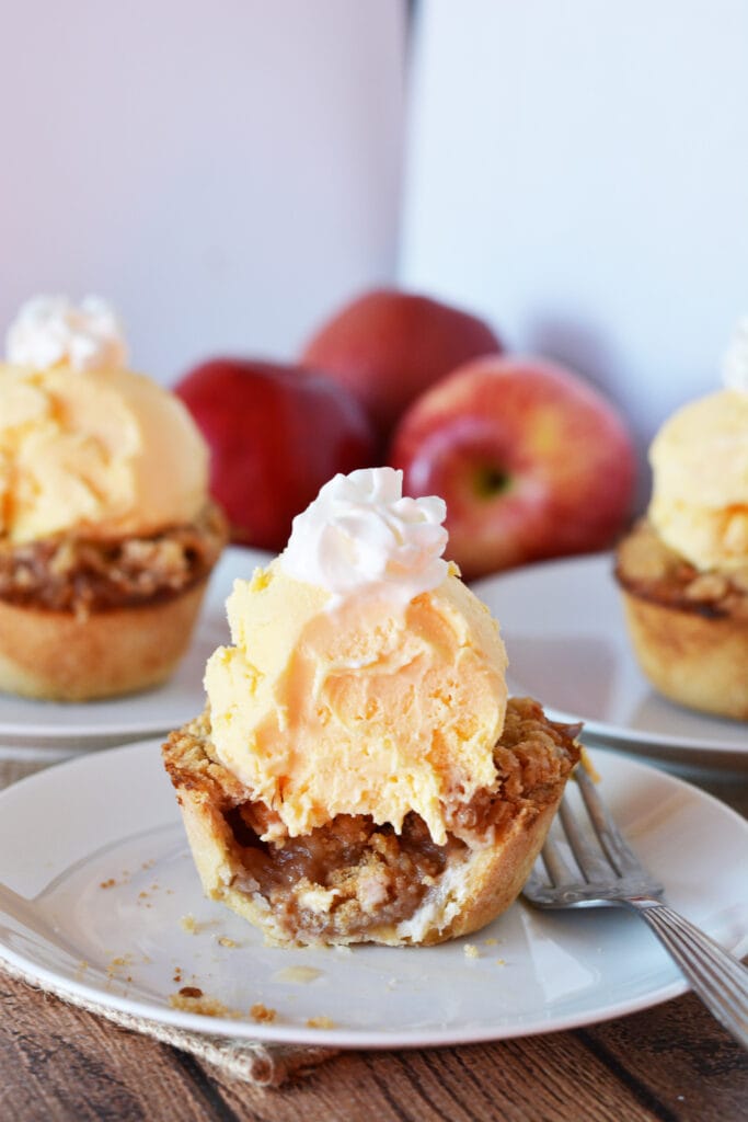 closeup of mini apple pie with ice cream, whipped cream and fork