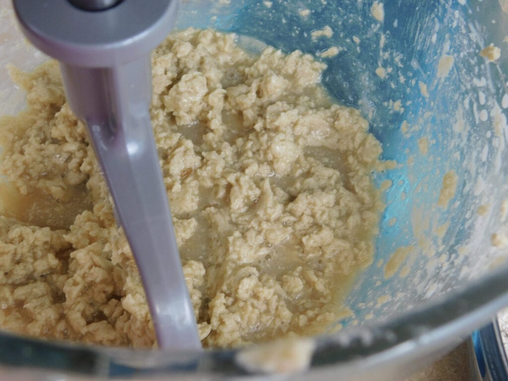 Apple Oatmeal Cookie mixture