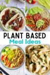 Plant-Based Meal Ideas &#8211; Easy Ways to Introduce Meatless Meals Everyone Can Enjoy