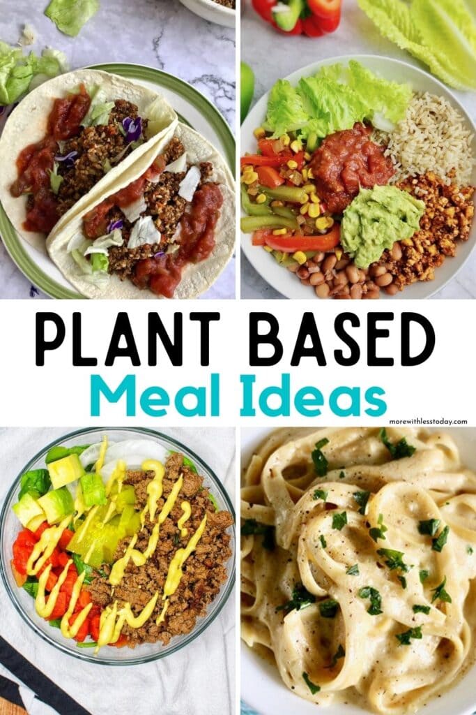 Plant-Based Meal Ideas - Easy Ways to Introduce Meatless Meals Everyone ...