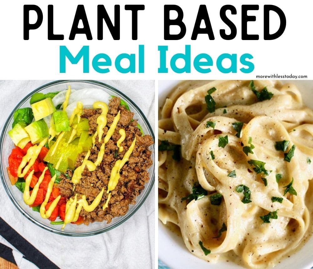 Plant Based Meal Ideas recipe roundup