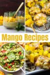 Delicious Mango Recipes for Mango Lovers