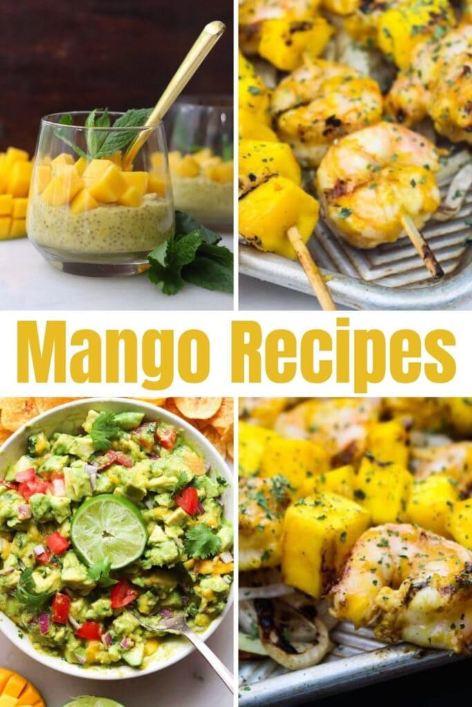 Mango recipes a collage of easy mango recipes to make