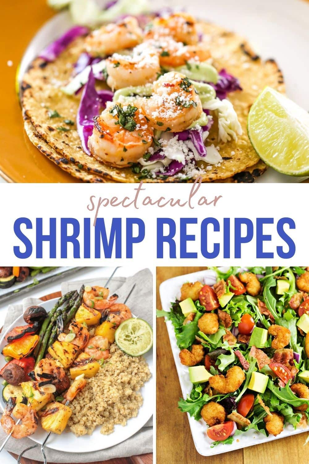 Shrimp Recipes – New Ideas for Easy Meals