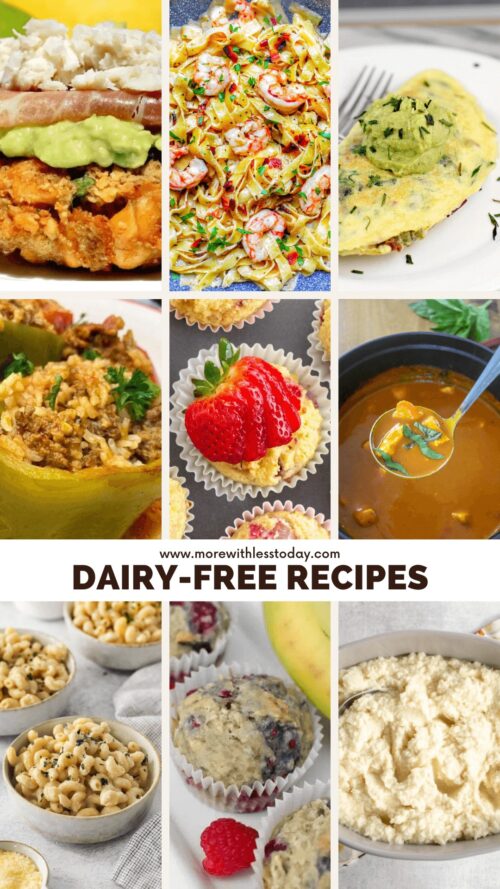 Dairy Free Recipes That Everyone Will Love Dairy Free Recipes PIN 500x889