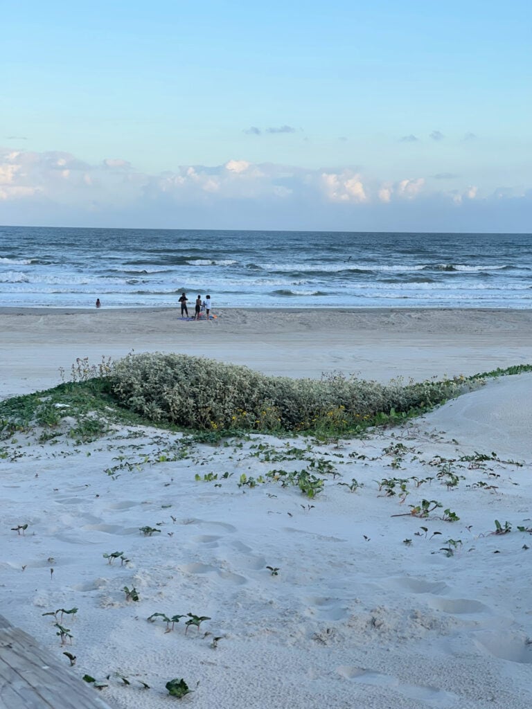 the sand at Lively Beach