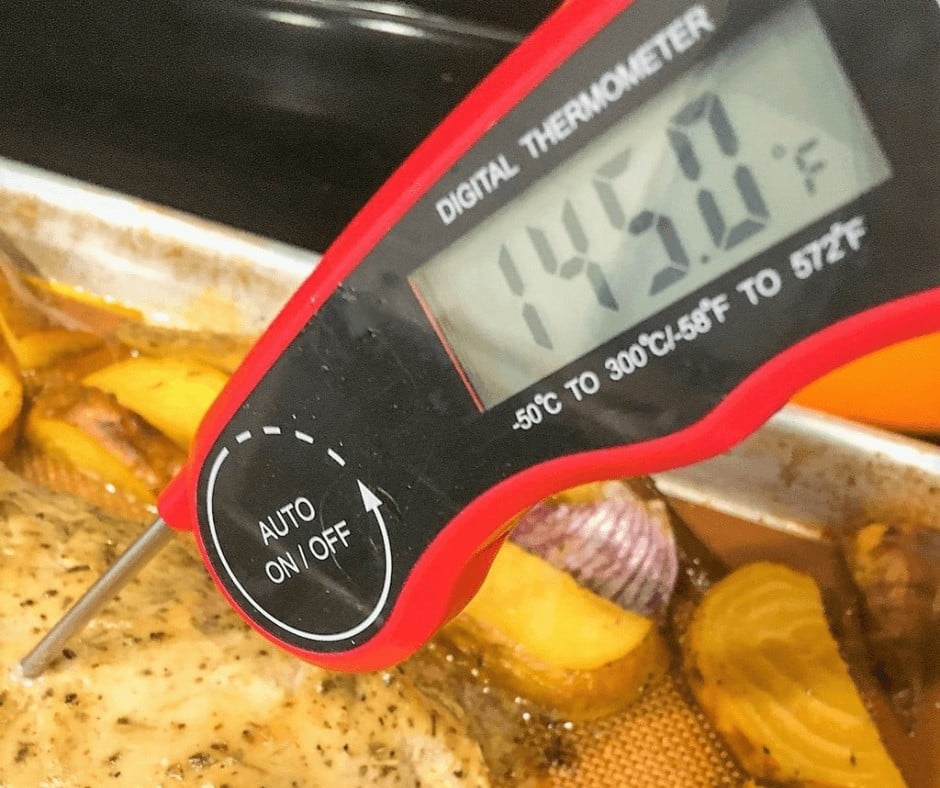 Using a digital meat thermometer to measure the doneness of the Pork Tenderloin