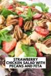 strawberry chicken salad with pecans and feta