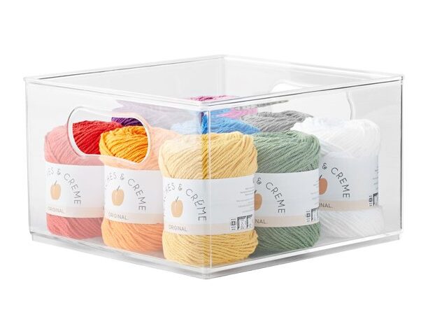 Clear Plastic Large Bin Storage
