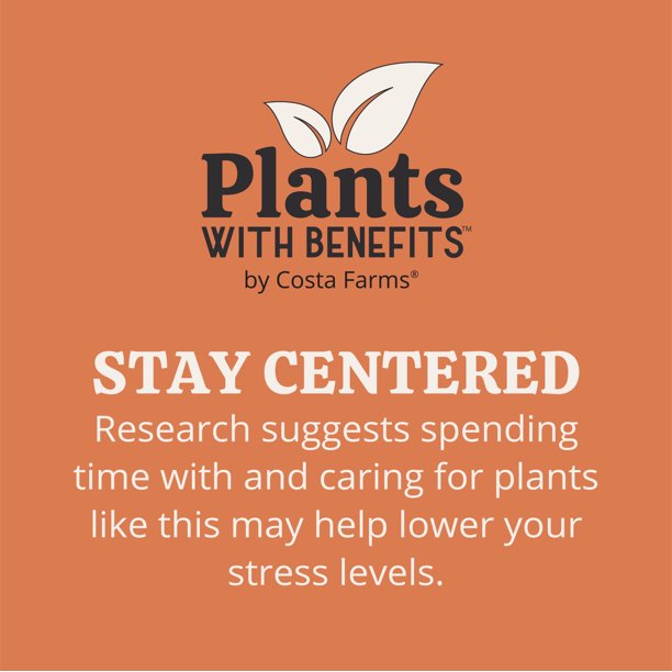 Costa Farms Plants with Benefits