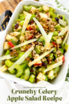 pin for celery apple salad recipe