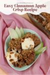 PIN for Easy Cinnamon Apple Crisp recipe