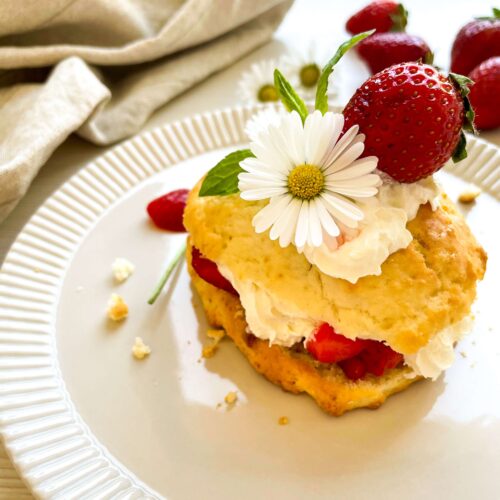 a close up of a Lemon Strawberry Shortcake